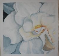 cAMELIA bianca 2 AGHD Srl
